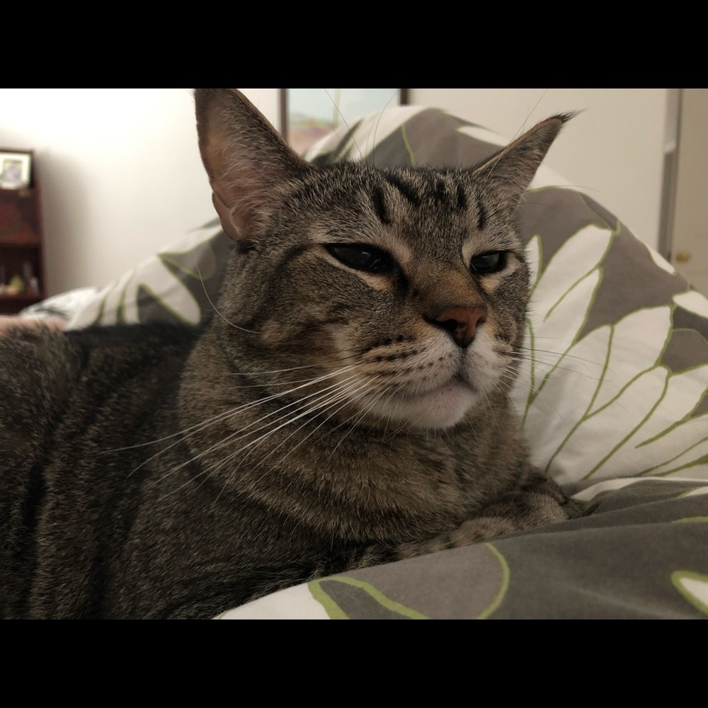 Meet your Posher, Melissa